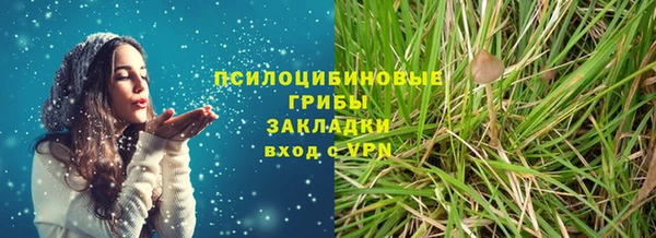 прущая мука Арсеньев