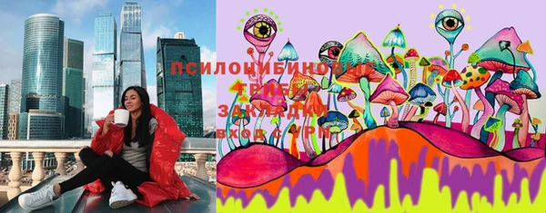 мдпв Армянск