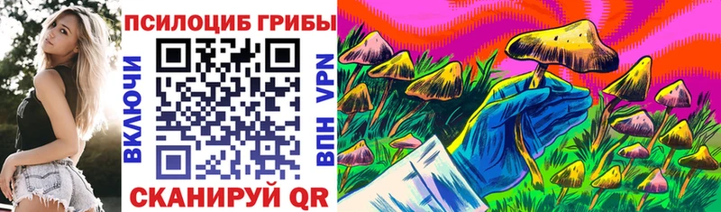 где купить   Асбест  Галлюциногенные грибы Psilocybe 